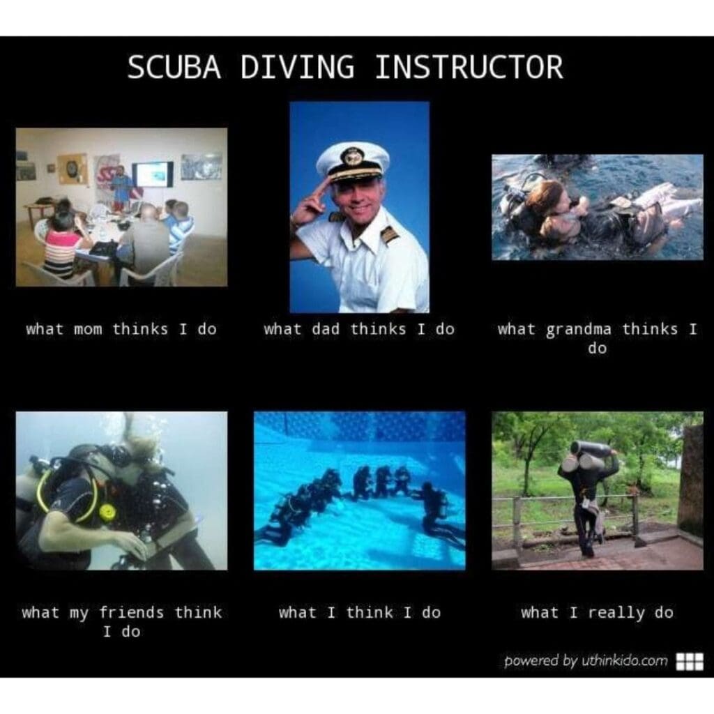 d.jpg