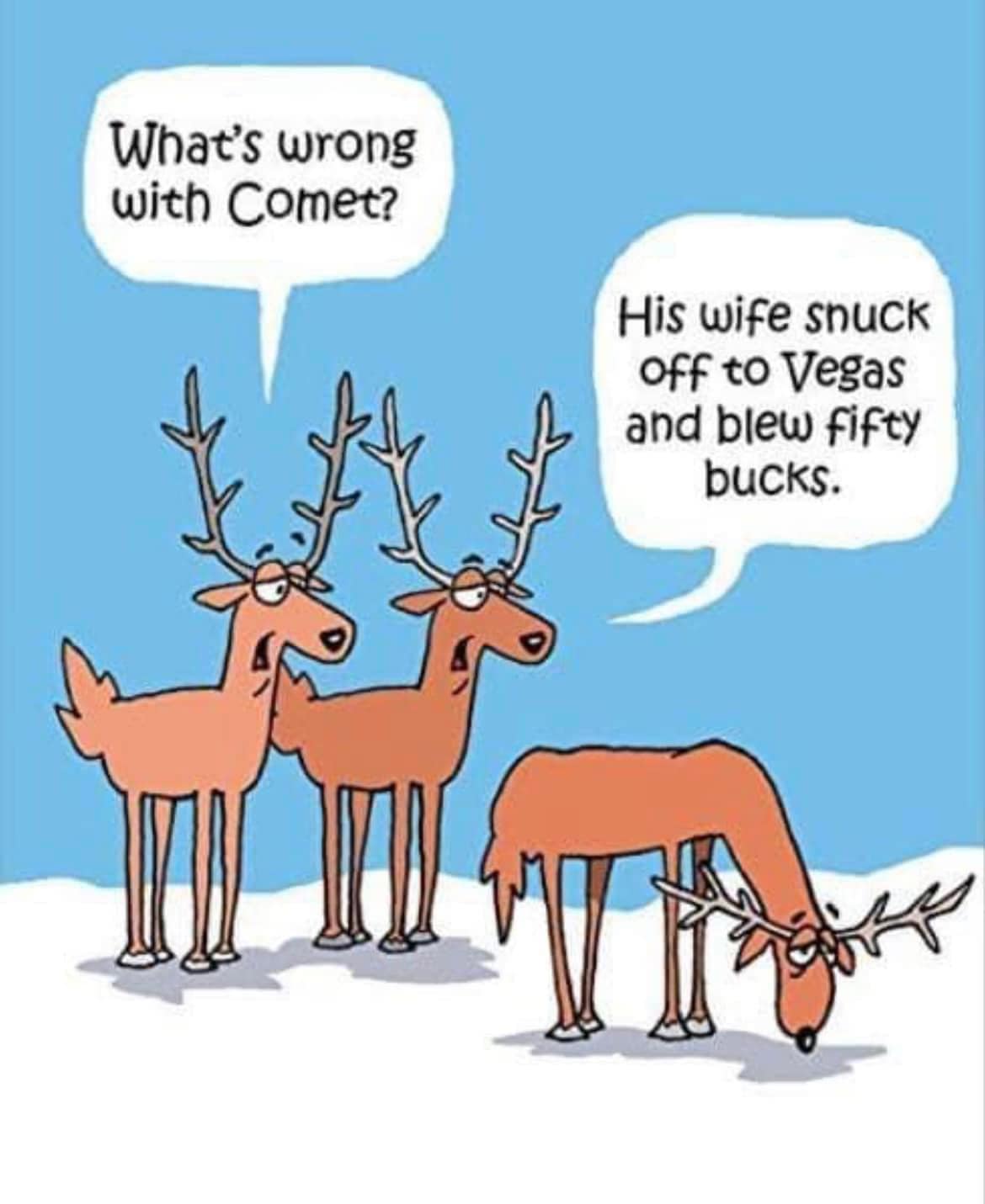 Hump Day Humor.jpg