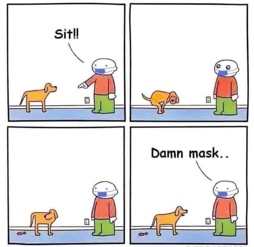 SitNotShitDog.jpg