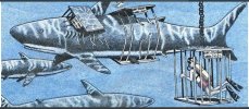 IMG_0994.jpeg