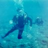 Bo Dives