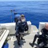 VikingDiver