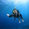 Red Sea Diver