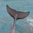 flipper