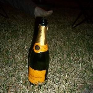 New Year 2006