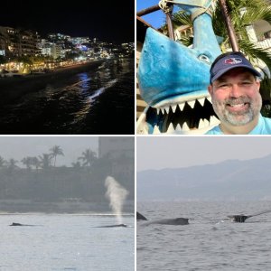 Puerto Vallarta Dec 22