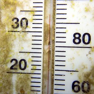 Platform thermometer