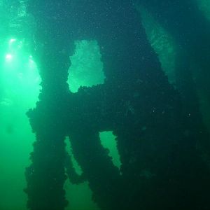 August 2010 - Rig Dive from Freeport