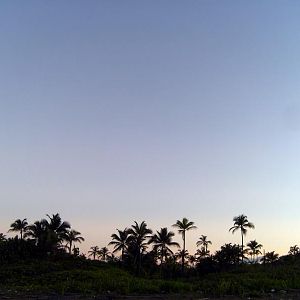 Panama 5