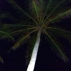 Panama 6