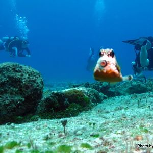 Cozumel 2011