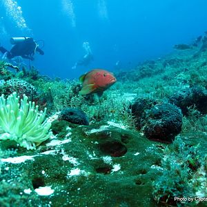 Cozumel
