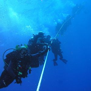 rig dive rush hour