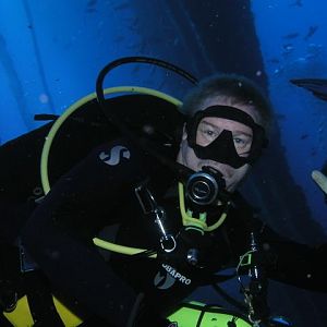 ReefHound