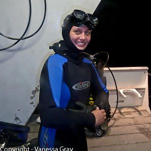 Waterproof Gears Up