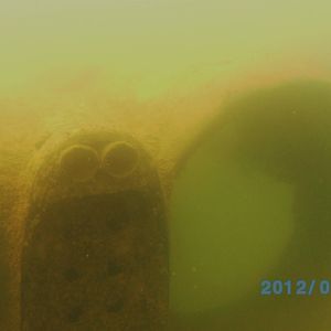 Athens Scuba Park