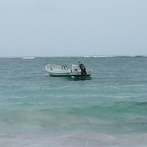 PICT0062
