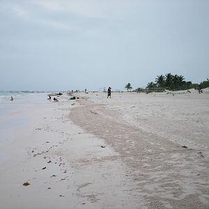 PICT0063