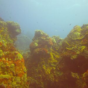 PICT0353