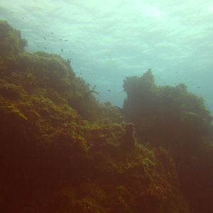PICT0360