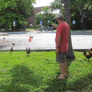 the birdman of Brazil