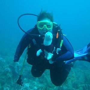 taking Wet for a dive