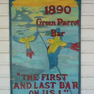 Green Parrot