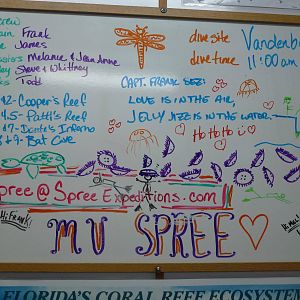 The board