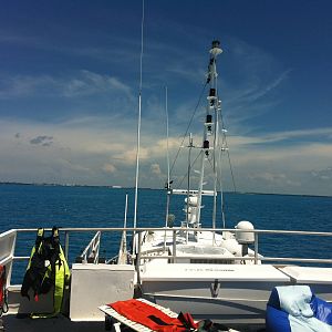 IMG_32031
