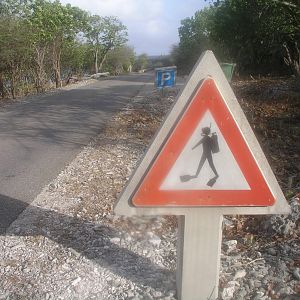 crossing