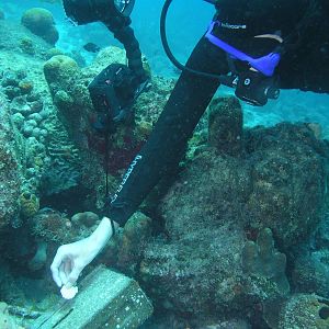 hyperbaric geocaching