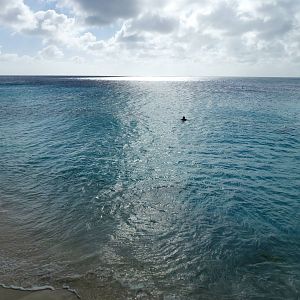 At_Bachelor_Beach_3