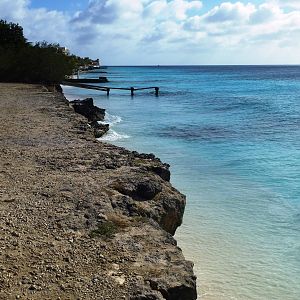 At_Bachelor_Beach_5