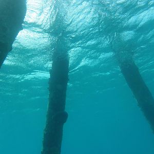 Salt Pier