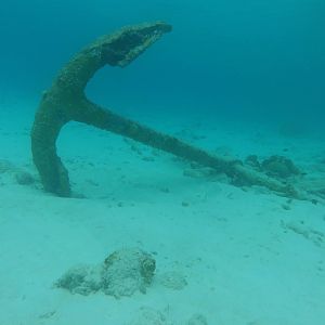 Anchor