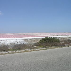 salt flats WIP