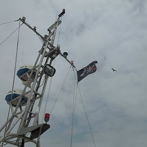 the colors fly over the R/V Manta