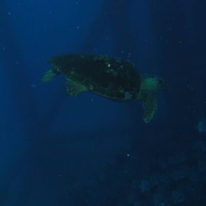 Rig Trip - Aug 2014
