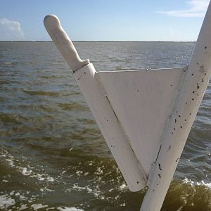 How you know when you're on a Cajun dive boat