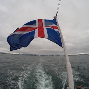 Flag