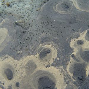 Litla sands