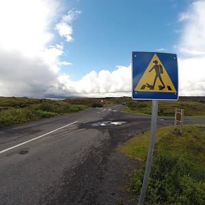 Caution, Divers