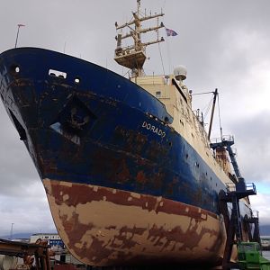 The Ship