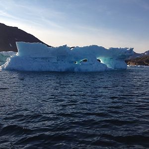 Icebergs