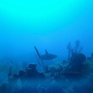 Grand Cayman