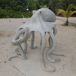 the rare concrete landopus