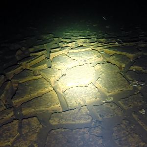 Desication Cracks