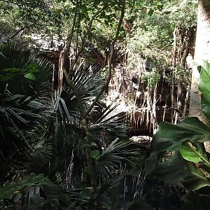 DSCF2105