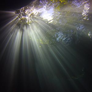 Looking Up