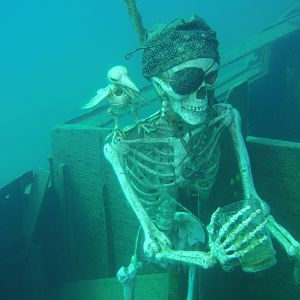 Cold pirate arrr